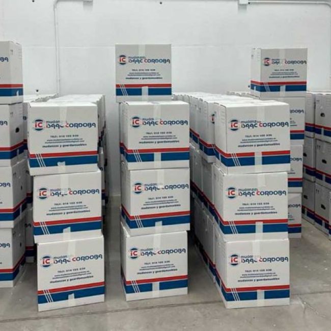 Mudanzas económicas