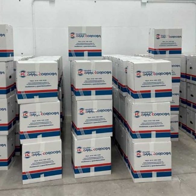 Mudanzas económicas