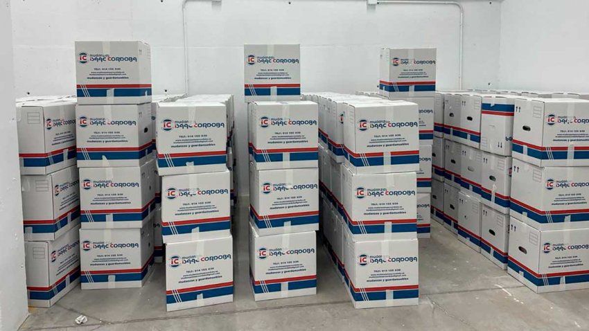 Mudanzas económicas Mudanzas económicas